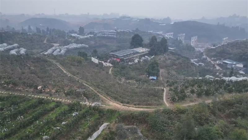 未命名-1.jpg