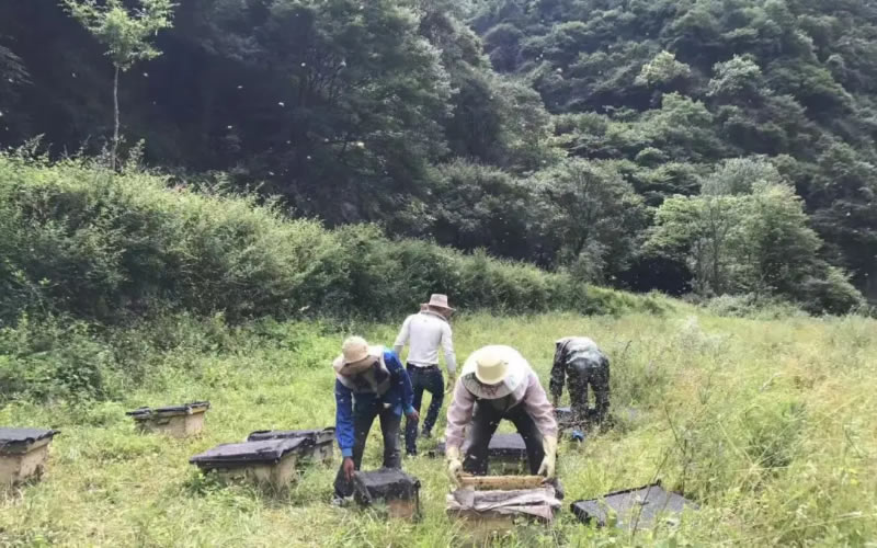 未命名-1.jpg