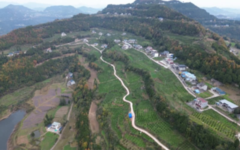 未命名-1.jpg