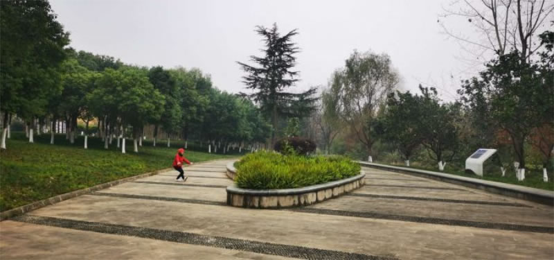 未命名-1.jpg