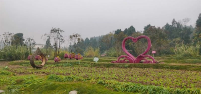 未命名-1.jpg