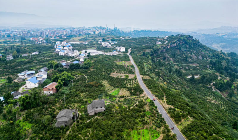 未命名-1.jpg