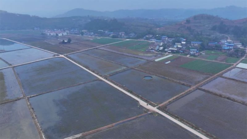 未命名-1.jpg