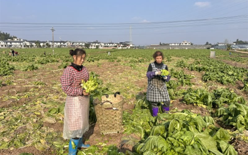 未命名-1.jpg