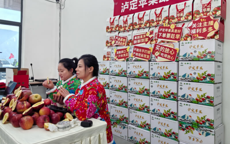 未命名-1.jpg