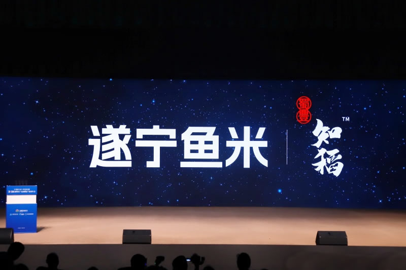 未命名-1.jpg