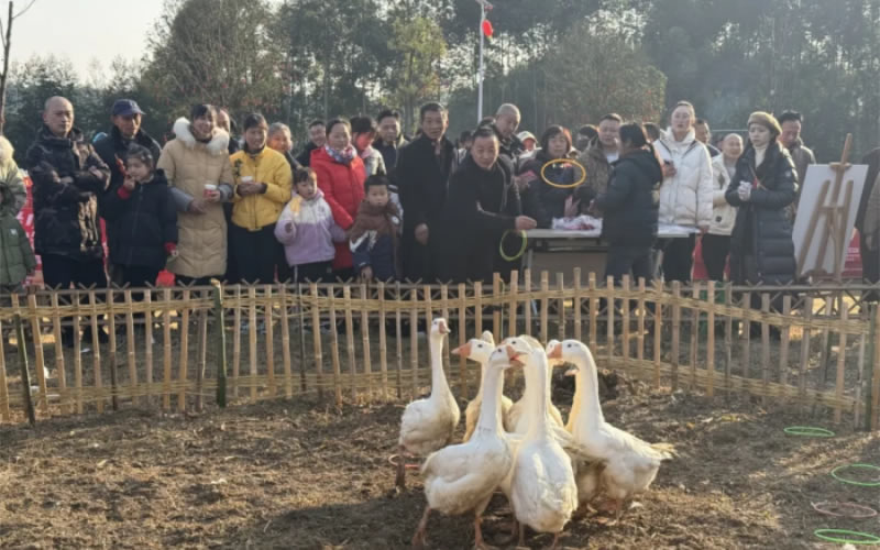未命名-1.jpg