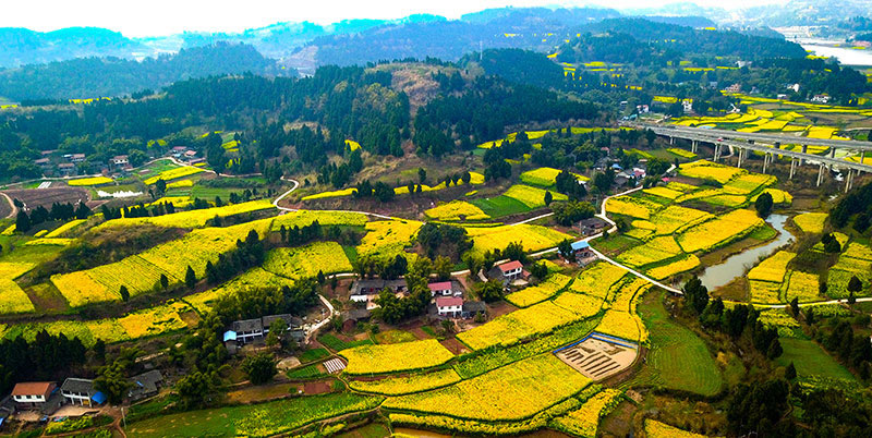 未命名-1.jpg