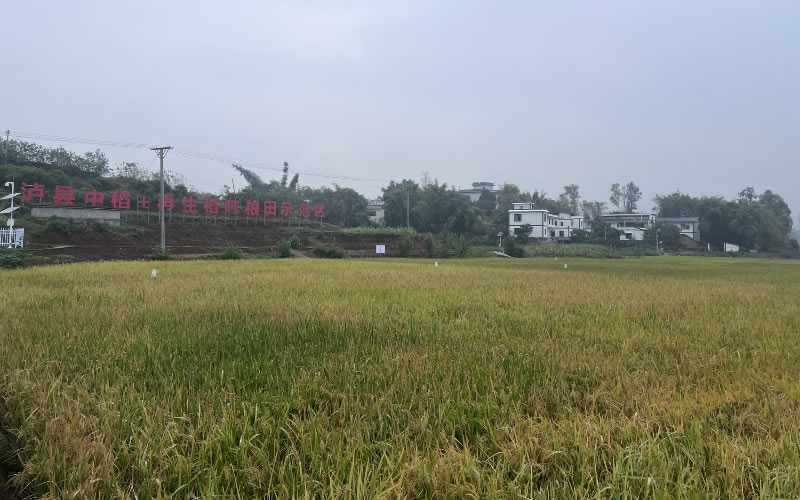未命名-1.jpg
