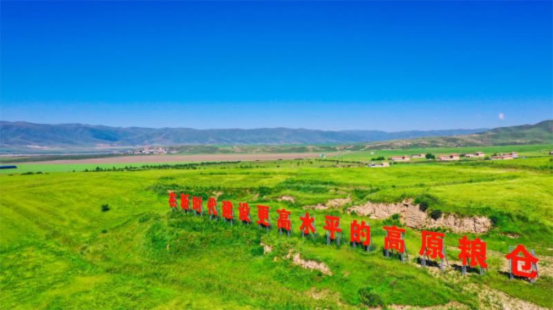 未命名-1.jpg