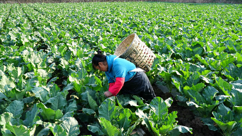 未命名-1.jpg