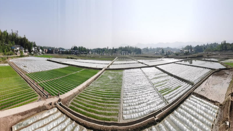 未命名-1.jpg