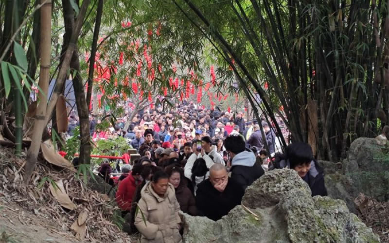 未命名-1.jpg
