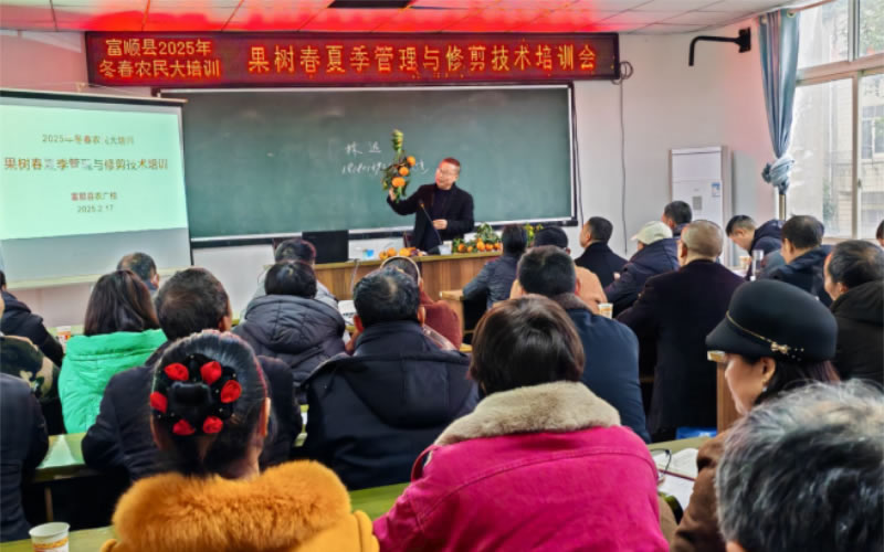 未命名-1.jpg