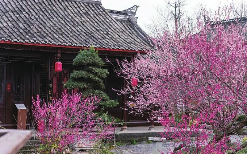 未命名-1.jpg
