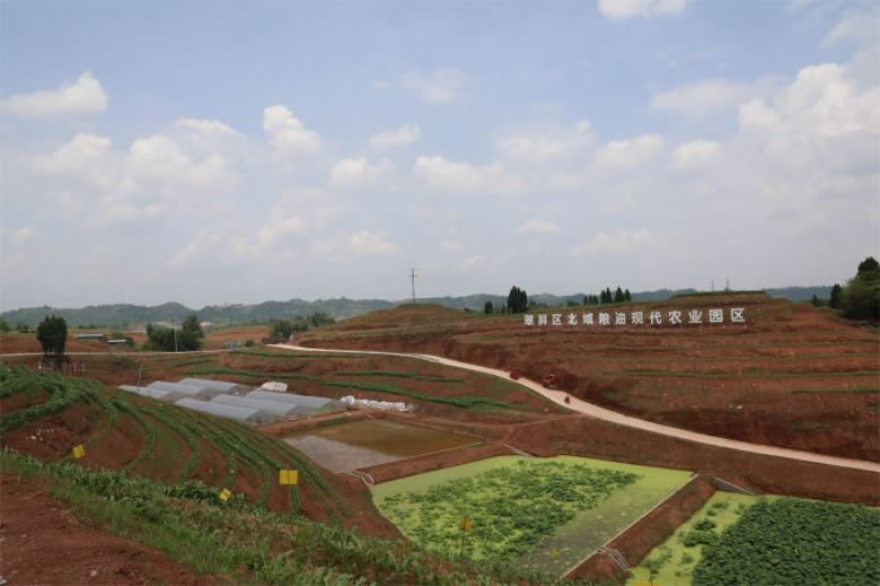 未命名-1.jpg
