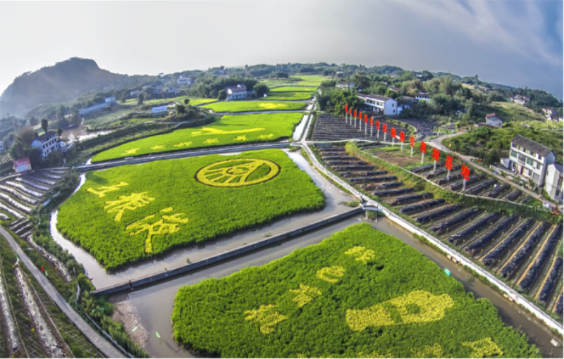 未命名-1.jpg