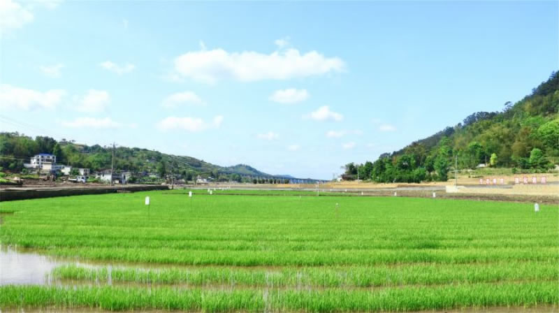 未命名-1.jpg