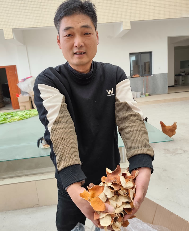 未命名-1.jpg