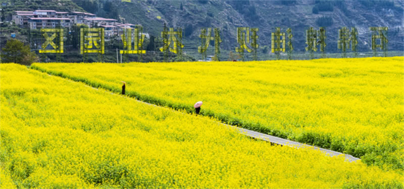 未命名-1.jpg