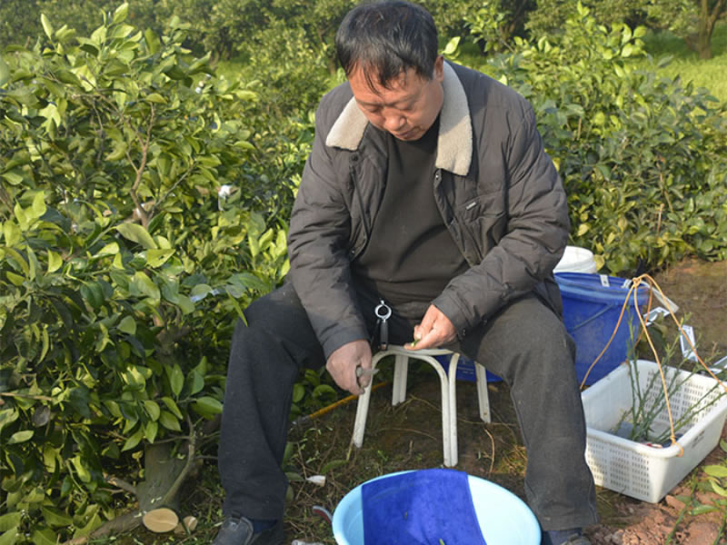 未命名-1.jpg