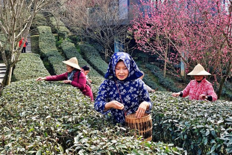 未命名-1.jpg