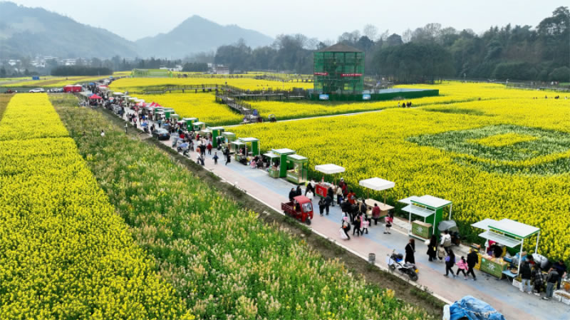 未命名-1.jpg