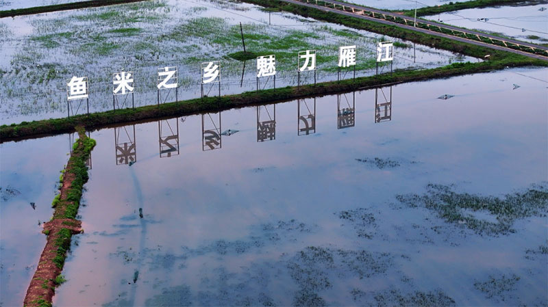 未命名-1.jpg
