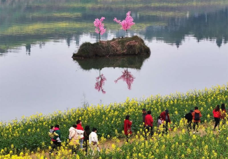 未命名-1.jpg