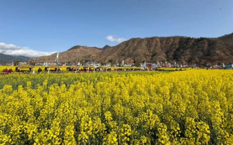 未命名-1.jpg