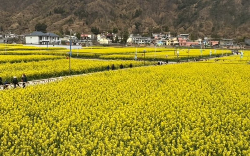 未命名-1.jpg