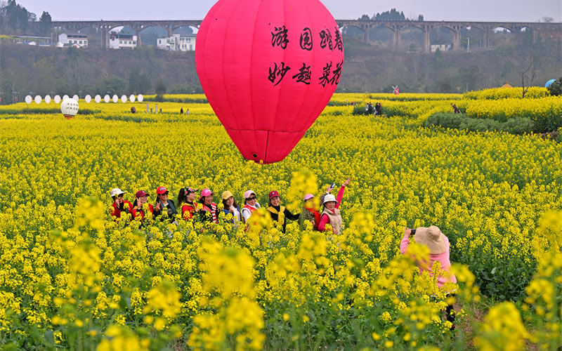 未命名-1.jpg