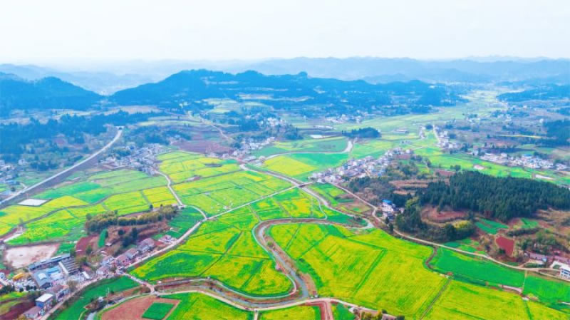 未命名-1.jpg