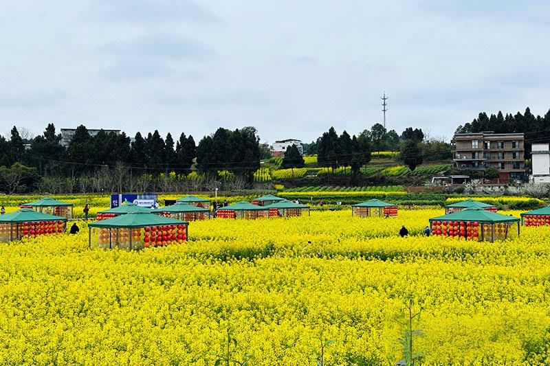 未命名-1.jpg