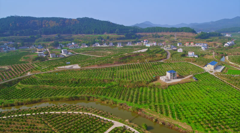 未命名-1.jpg