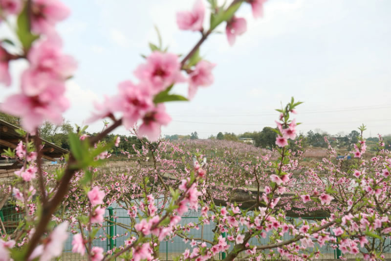 未命名-1.jpg