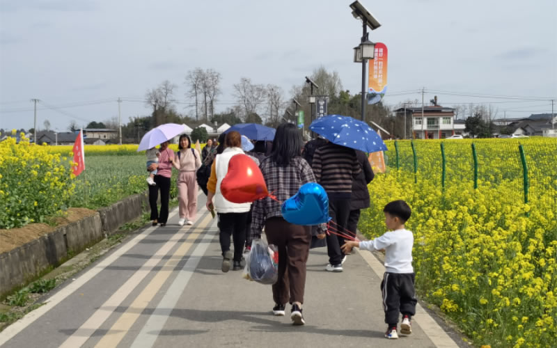 未命名-1.jpg