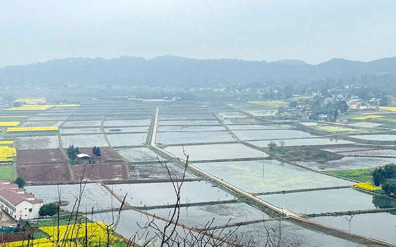 未命名-1.jpg
