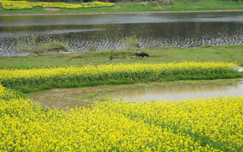 未命名-1.jpg