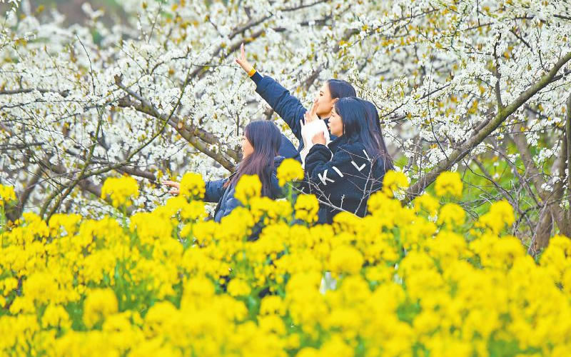 未命名-1.jpg