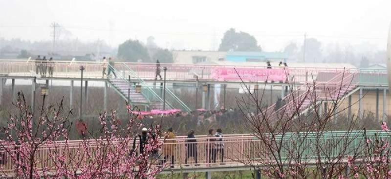 未命名-1.jpg