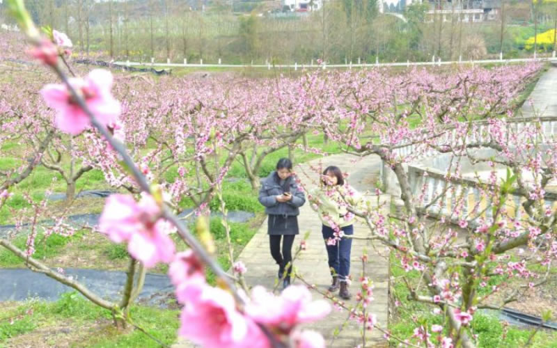 未命名-1.jpg