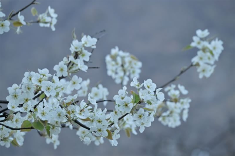 未命名-1.jpg