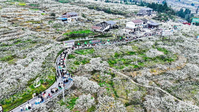 未命名-1.jpg