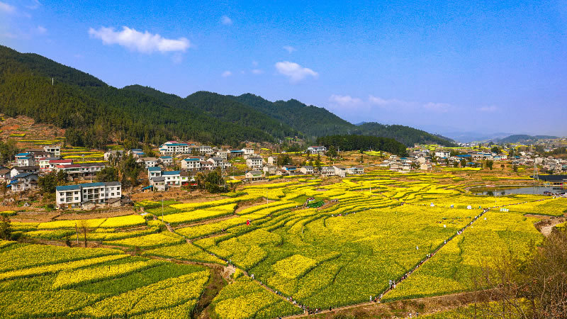 未命名-1.jpg