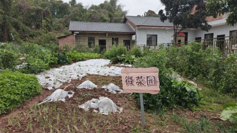 未命名-1.jpg