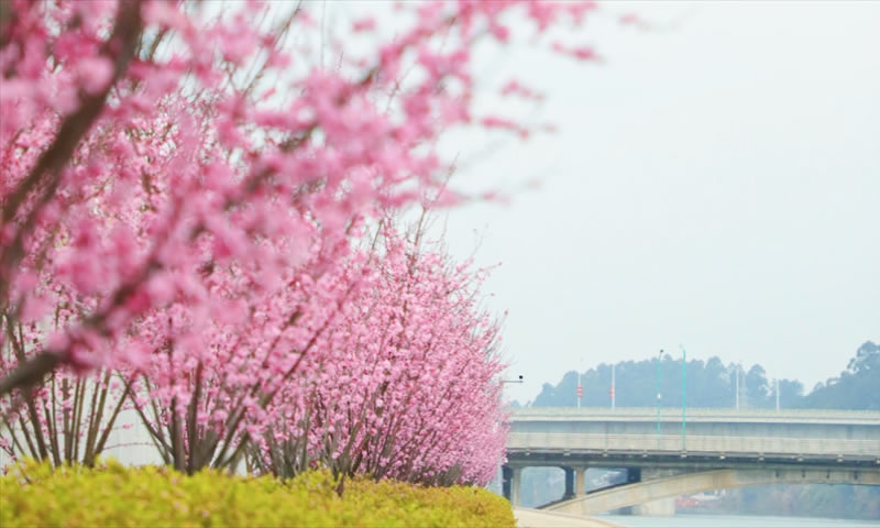 未命名-1.jpg