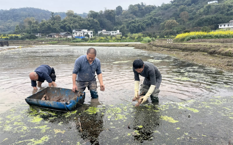未命名-1.jpg