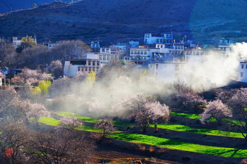 未命名-1.jpg