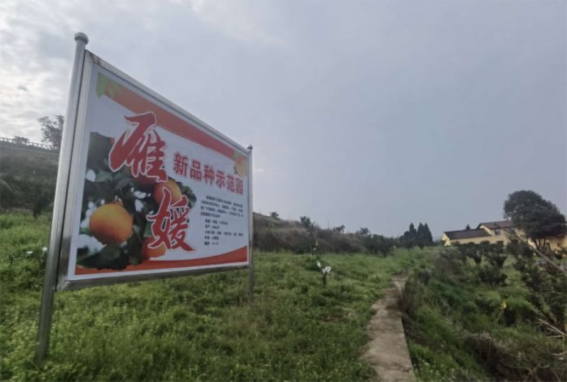 未命名-1.jpg